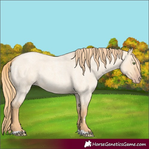 Horse Color:Gold Champagne Roan Dun 