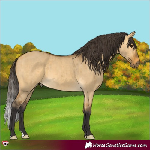 Horse Color:Buckskin Dun Brindle 