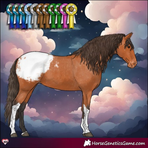 Horse Color:Bay Tobiano Snowcap 