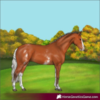 Horse Color:White Spotted Silver Bay Splash 