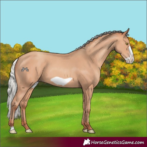Horse Color:Silver Amber Champagne Frame 