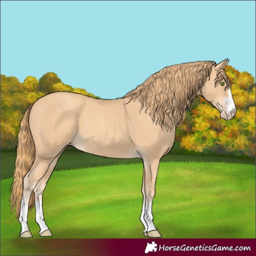 Horse Color:Gold Champagne 