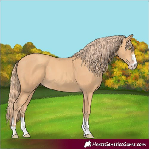 Horse Color:Gold Champagne 