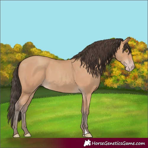 Horse Color:Amber Champagne 