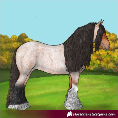 Horse Color:Bay Roan Tobiano