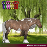 Horse Color:White Spotted Silver Brown Dun Tobiano Rabicano 