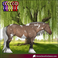 Horse Color:White Spotted Silver Brown Dun Tobiano Rabicano
