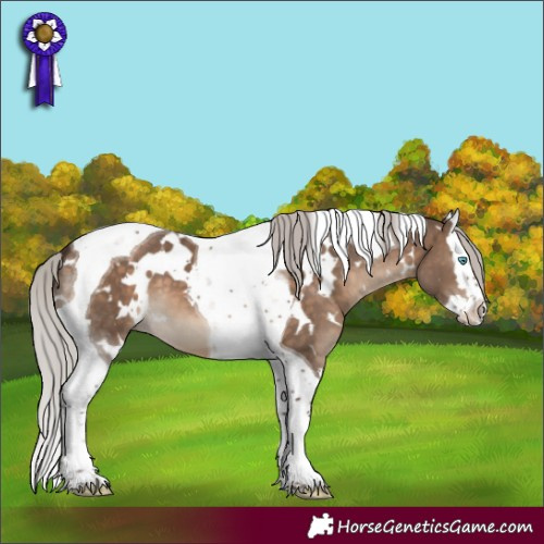 Horse Color:White Spotted Silver Brown Dun Splash Tobiano 