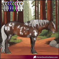 Horse Color:White Spotted Silver Brown 