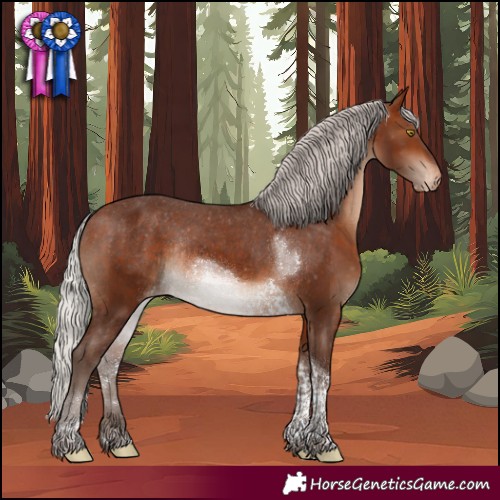 Horse Color:Silver Brown Tobiano Varnish Rabicano 