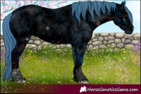 Horse Color:ERROR: UNKNOWN ANOMALY