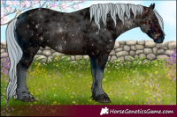 Horse Color:ERROR: UNKNOWN ANOMALY