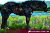 Horse Color:ERROR: UNKNOWN ANOMALY
