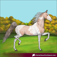 Horse Color:Bay Splash Tobiano Varnish  and Bay Splash Tobiano Varnish 