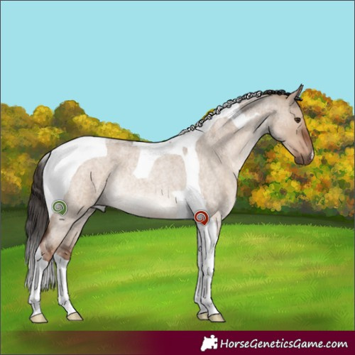 Horse Color:Liver Red Dun Roan Tobiano Rabicano