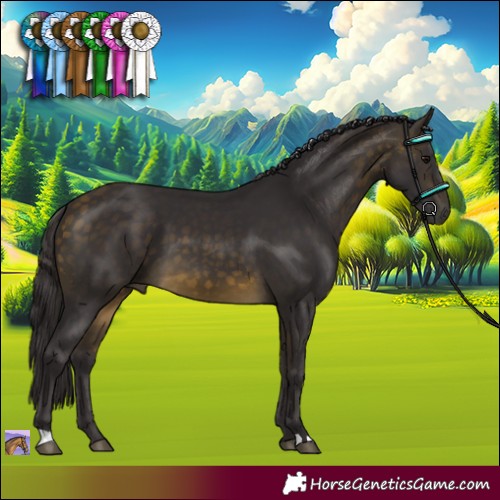 Horse Color:Buckskin 