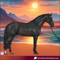 Horse Color:Brown 