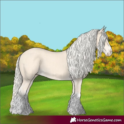 Horse Color:Cremello Splash  and Cremello Splash 