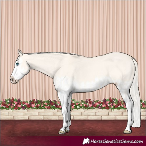 Horse Color:Cremello Dun Splash  and Cremello Dun Splash 