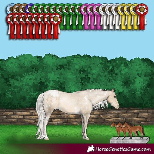 Horse Color:White Spotted Silver Buckskin Pearl Appaloosa 