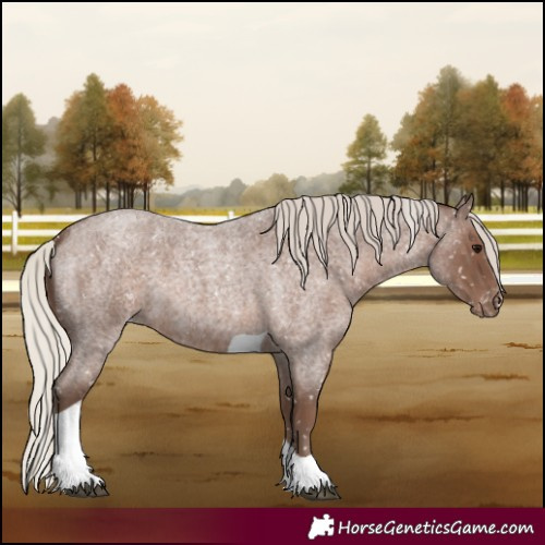 Horse Color:Silver Blue Roan Tobiano Snowflake Varnish