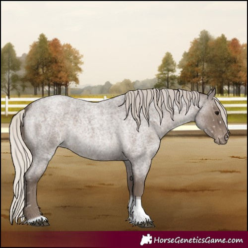 Horse Color:Silver Blue Roan Tobiano Snowflake Varnish