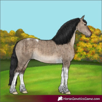 Horse Color:Brown Dun Tobiano Brindle 