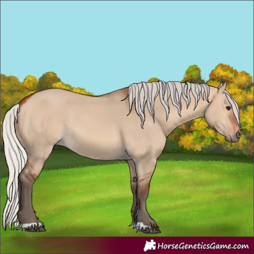 Horse Color:Silver Bay Dun 
