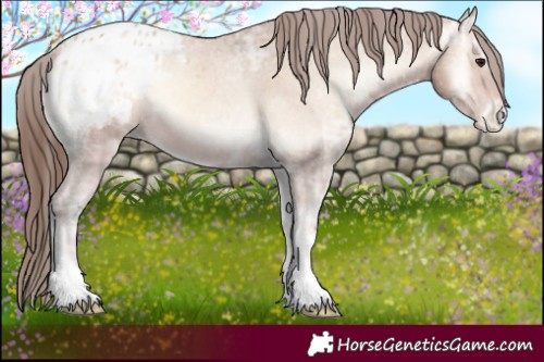 Horse Color:Amber Champagne Ice Onyx Tobiano Appaloosa 