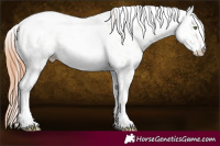 Horse Color:Amber Champagne Ice Pearl Onyx Sabino Appaloosa 