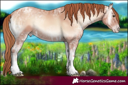 Horse Color:Gold Champagne Ice Onyx Tobiano 