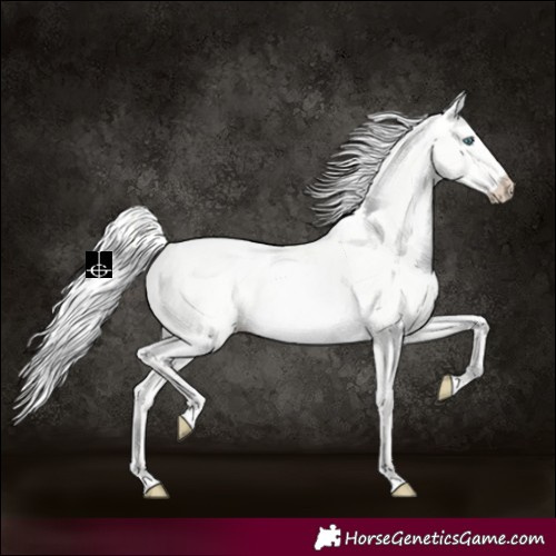 Horse Color:Silver Perlino Dun 