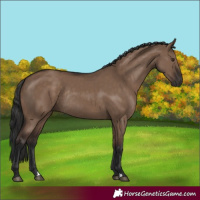 Horse Color:Liver Red Dun Rabicano