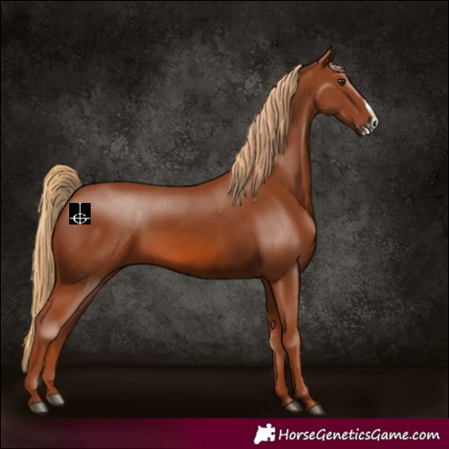 Horse Color:Chestnut Frame