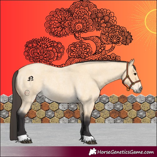 Horse Color:Buckskin Roan 