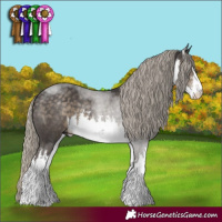 Horse Color:White Spotted Silver Smoky Black