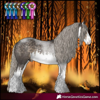 Horse Color:White Spotted Silver Smoky Black 
