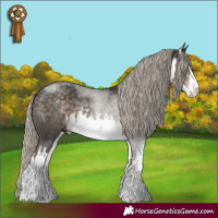 Horse Color:White Spotted Silver Smoky Black 