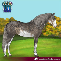 Horse Color:White Spotted Silver Smoky Black 
