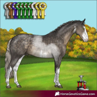 Horse Color:White Spotted Silver Smoky Black