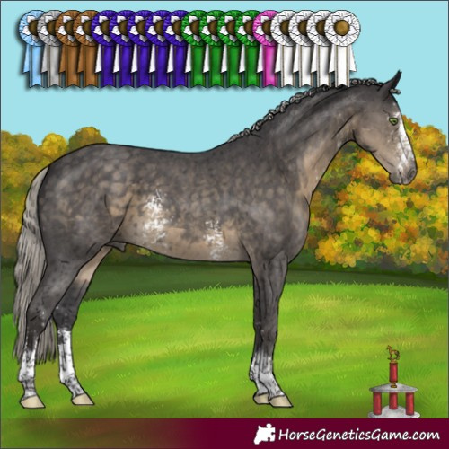 Horse Color:Silver Smoky Black Sabino 