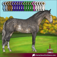 Horse Color:Silver Smoky Black Sabino 