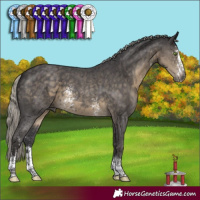 Horse Color:Silver Smoky Black Sabino
