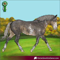 Horse Color:Silver Smoky Black Sabino 