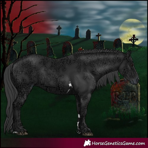 Horse Color:Black Ice Tobiano 