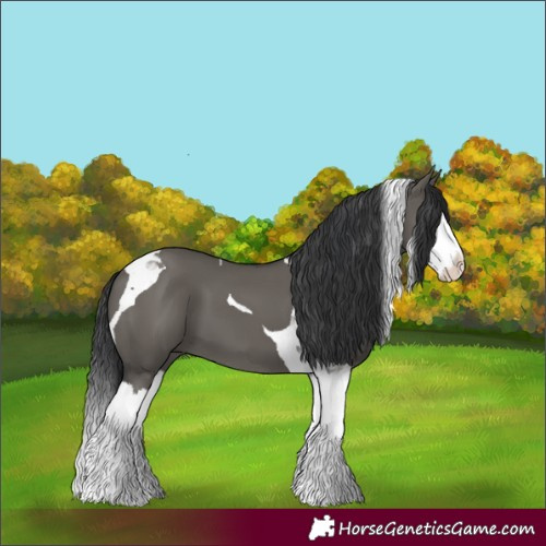 Horse Color:Grullo Splash Tobiano 
