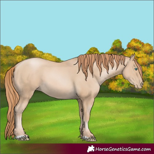 Horse Color:Smoky Black Pearl