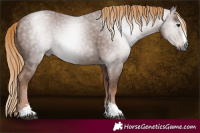 Horse Color:Gray Chestnut Ice 