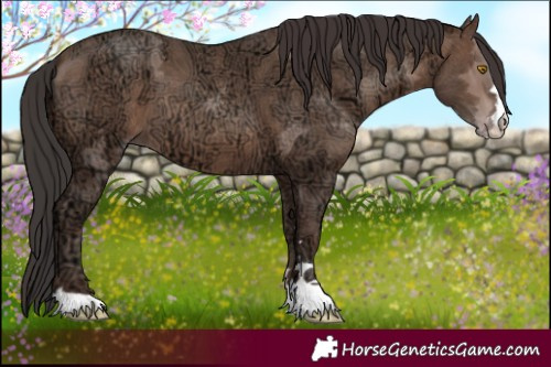 Horse Color:Sable Champagne Ice 
