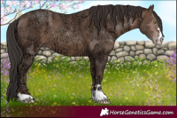 Horse Color:Sable Champagne Ice 